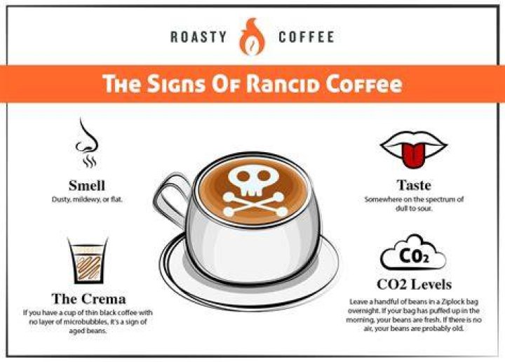 What does rancid taste like?