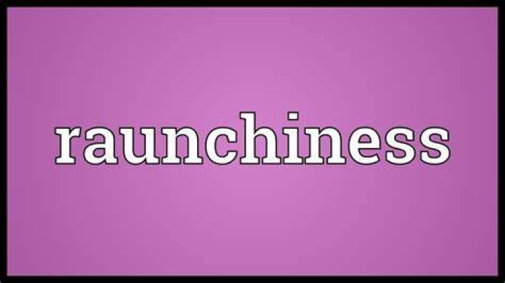 What does raunchiness meaning?