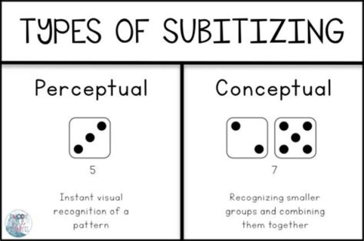 What does subitize mean?