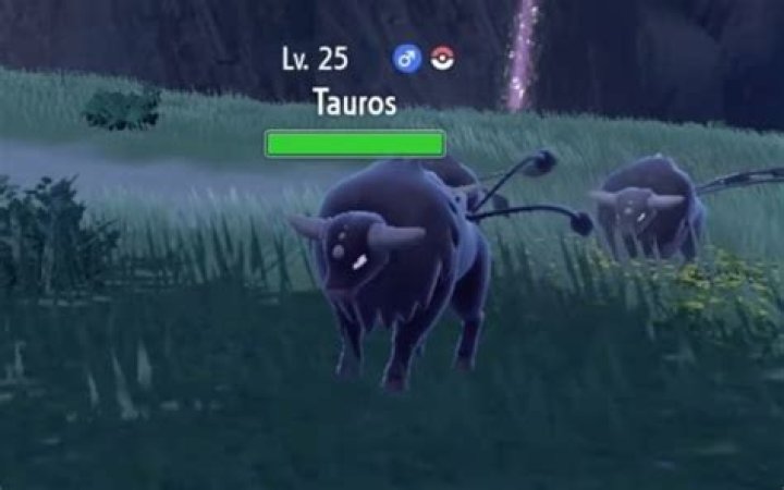 What does tauros evolve into?