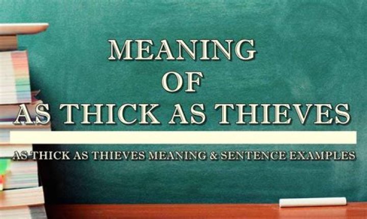 What does the expression thick as thieves mean?