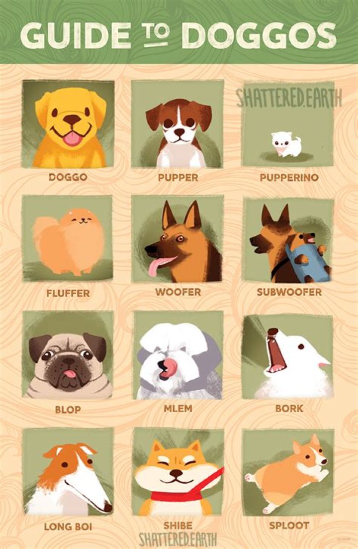 What dog is Doggo?