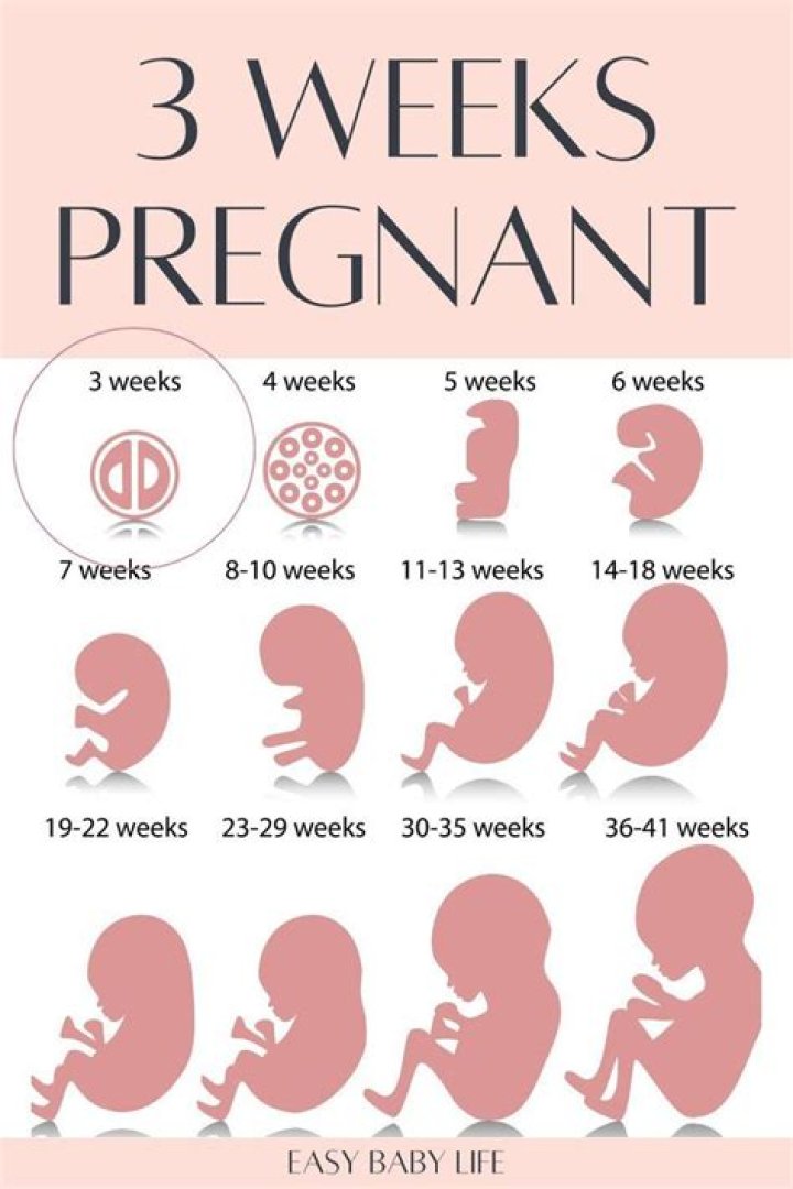 What happened during the 3 weeks?