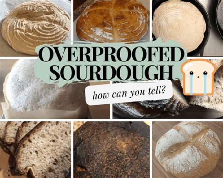What happens to over proofed bread?