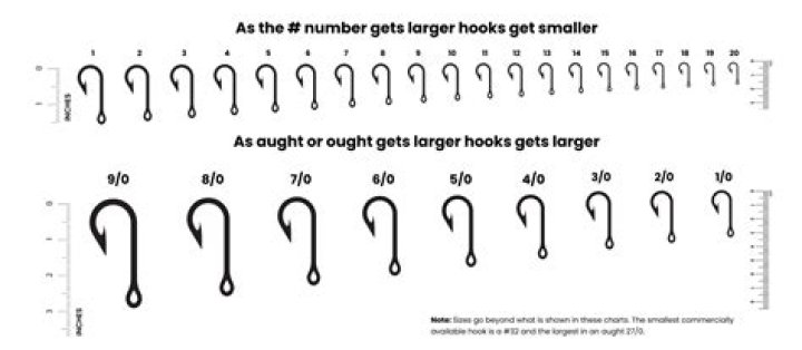 What hook size for trout?
