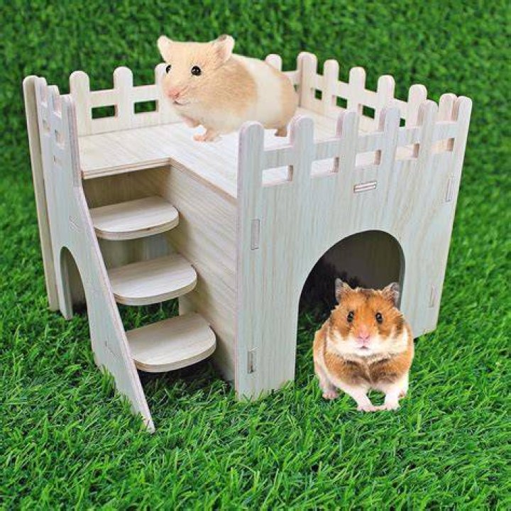 What is a hamster hideaway?