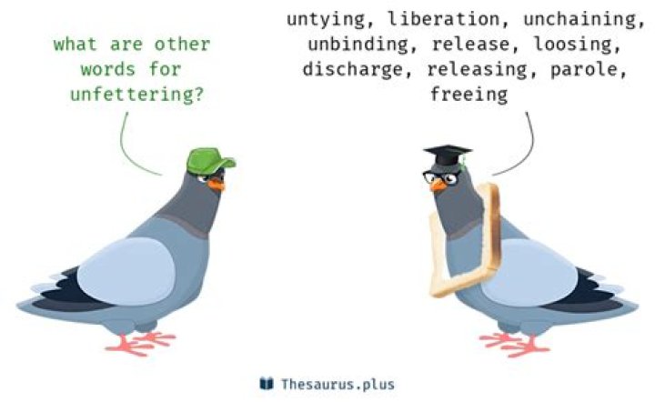 What is a synonym for unfettering?