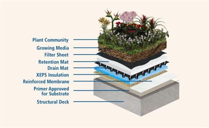 What is a vegetated roof?