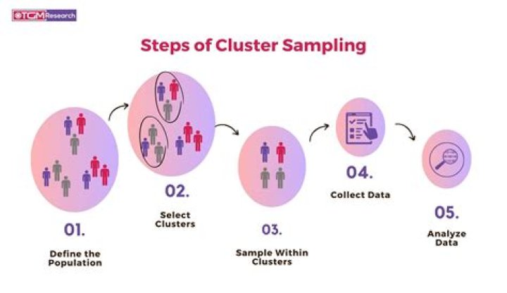 What is an example of cluster sampling?