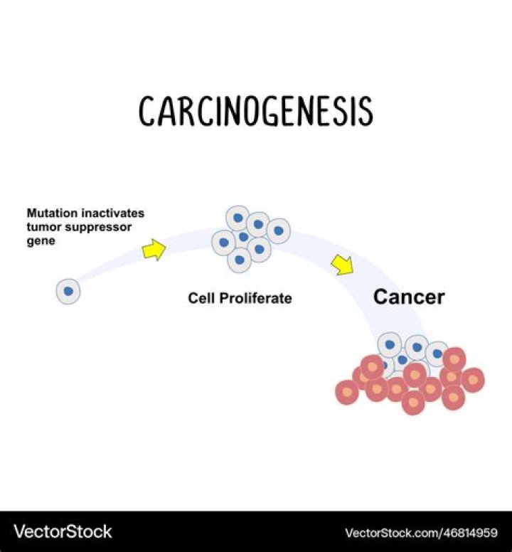 What is carcinogenesis model?