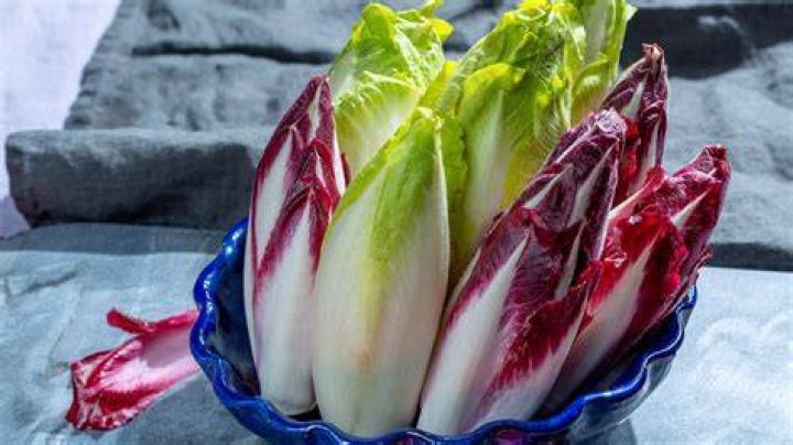 What is chicory Italy?