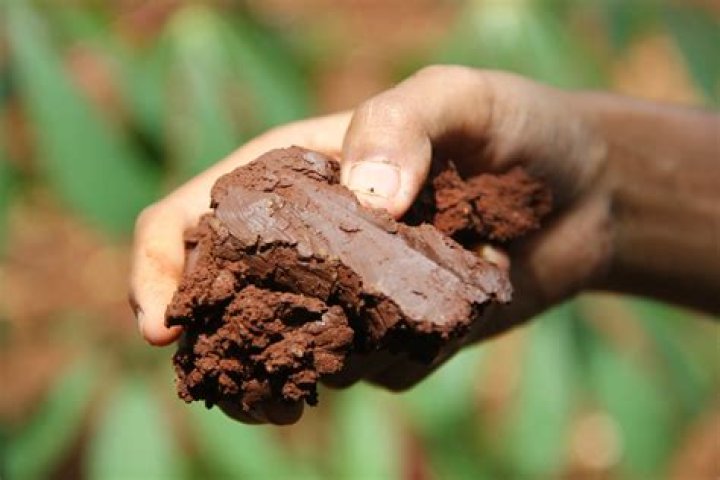 What is clayey soil?