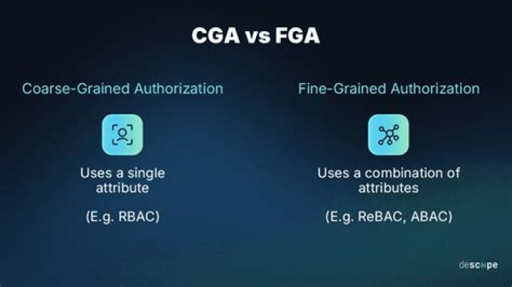 What is coarse grained authorization?