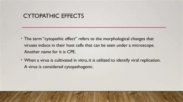 What is cytopathogenic effect?