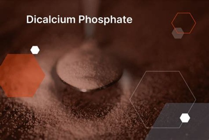 What is dicalcic phosphate?
