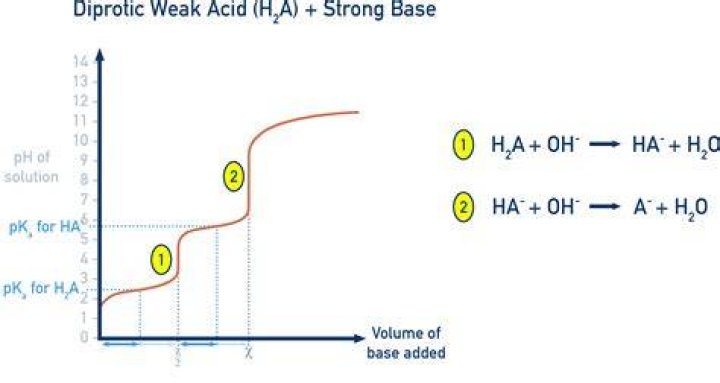 What is diprotic and dibasic?