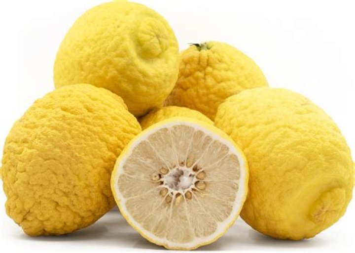 What is etrog citron?
