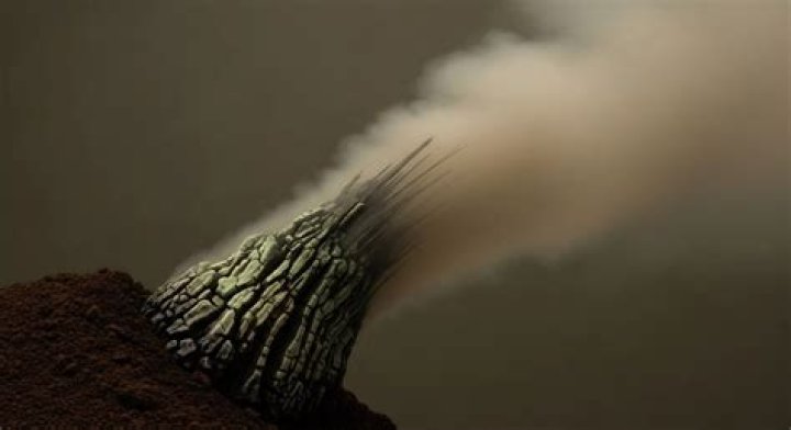 What is eurythermal organisms?