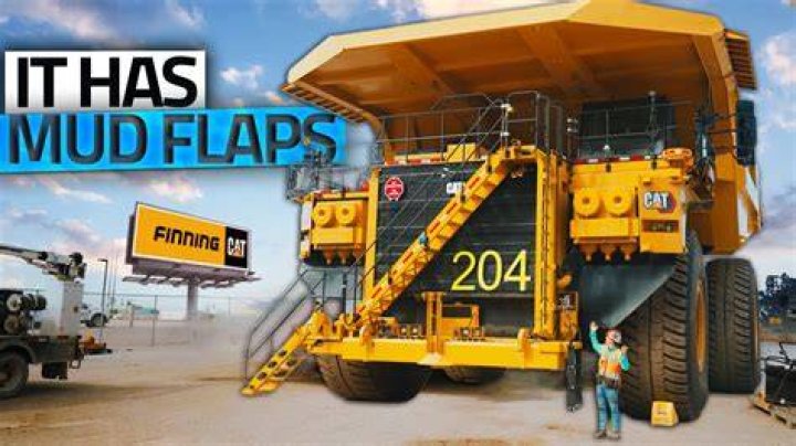 What is finning cat?