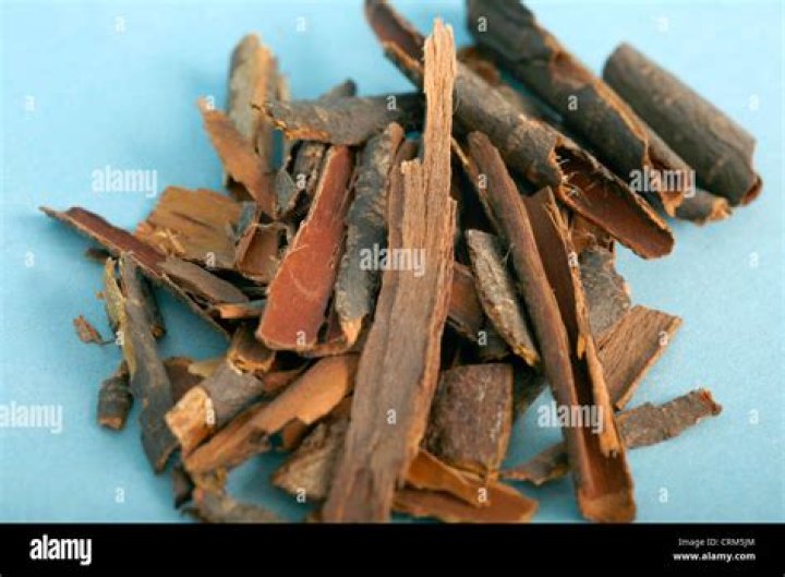 What is frangula bark?
