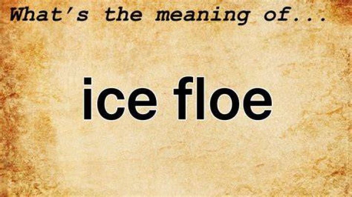 What is ice floe meaning?