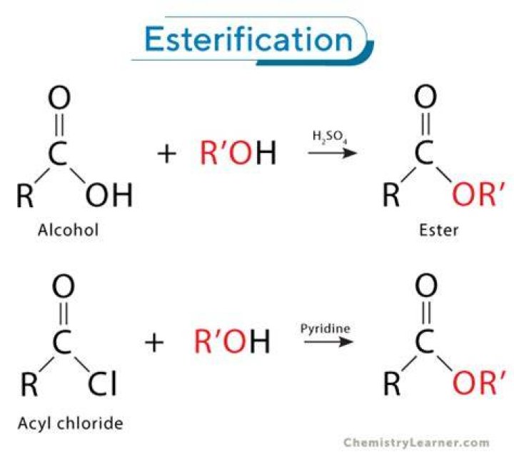 What is interesterification used for?