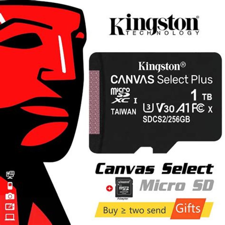 What is Kingston canvas select?