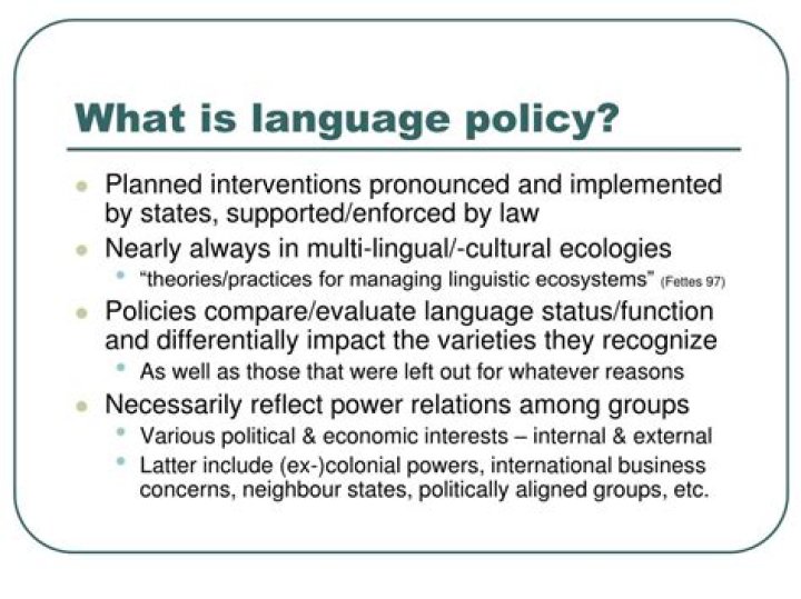 What is language policy explain?