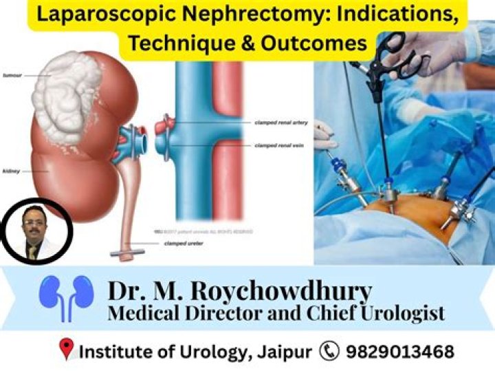 What is laparo nephrectomy?