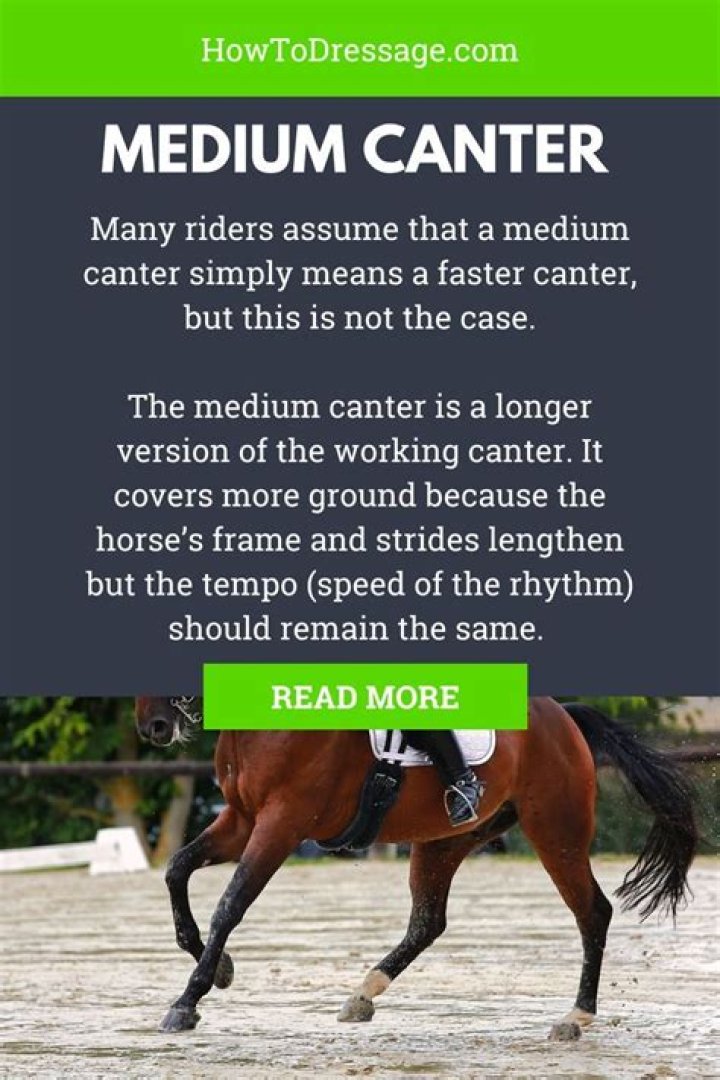 What is medium canter?