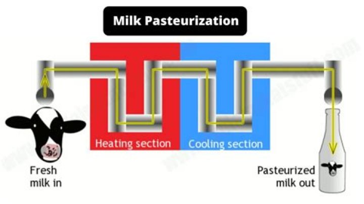 What is milk booth definition?