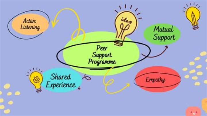 What is peer program?