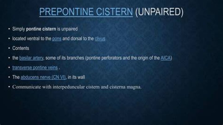 What is prepontine cistern?