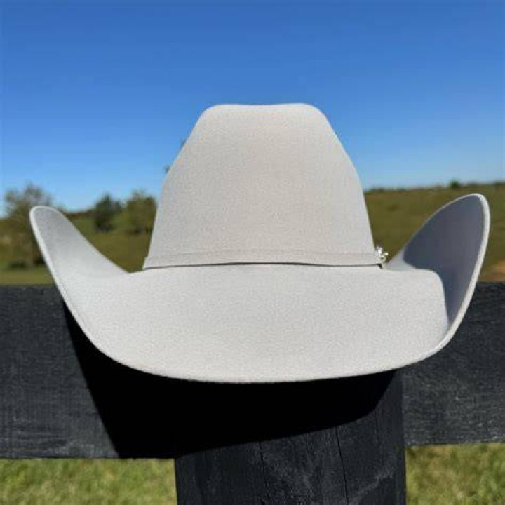 What is silverbelly hat?