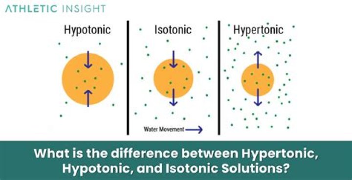 What is the hypertonic?