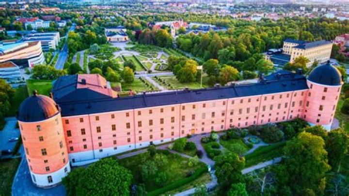 What is uppsala vikings?