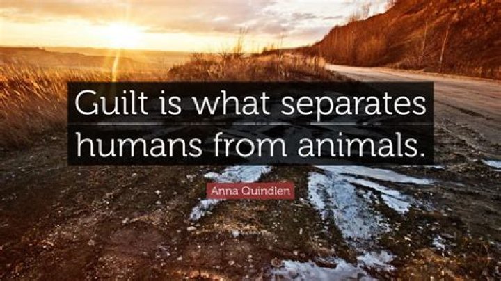 What separates humans from animals philosophy?