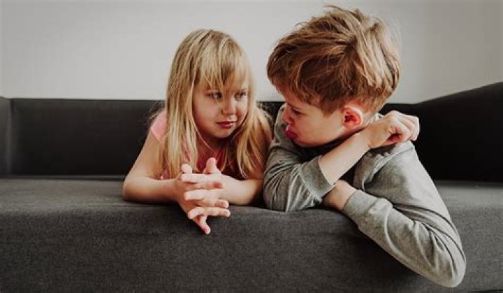 What siblings fight about?