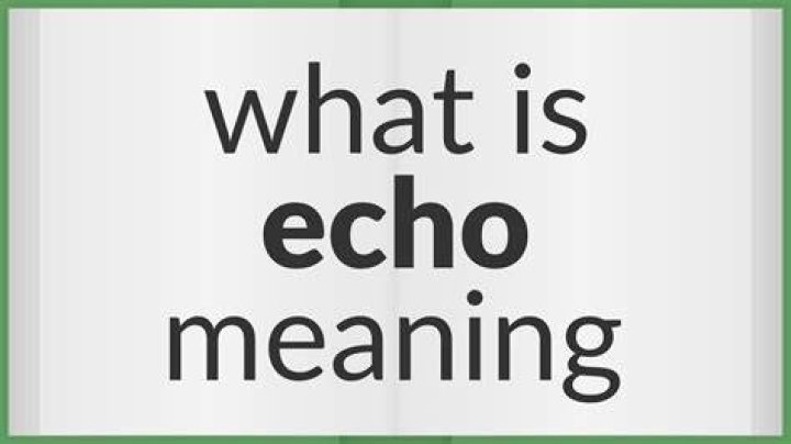 Whats a synonym for echoed?