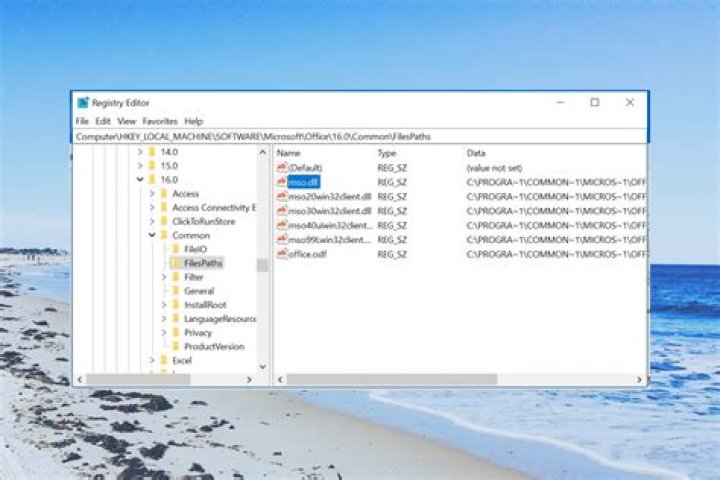 Whats an mso file?