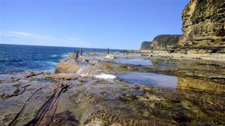 Whats at avoca beach?