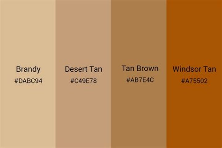 Whats black and tan?