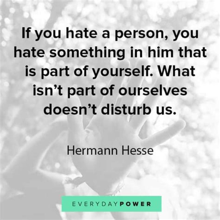 Whats does hate mean?