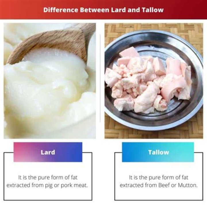 Whats the difference between tallow and lard?