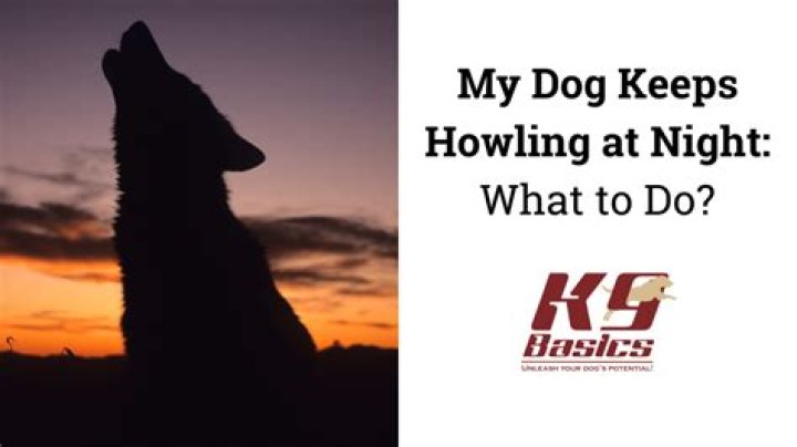 When a dog keeps howling?