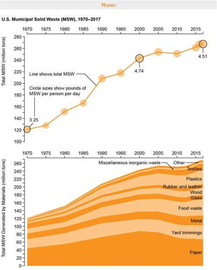 When did environmentalism become mainstream?