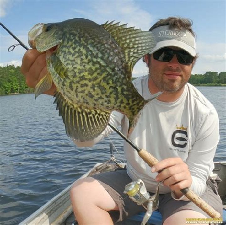 When do crappies spawn in wisconsin?
