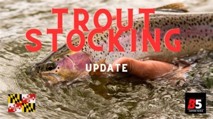 When is trout stocking?