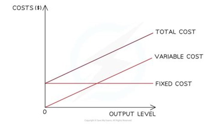 When production is zero total cost will be?