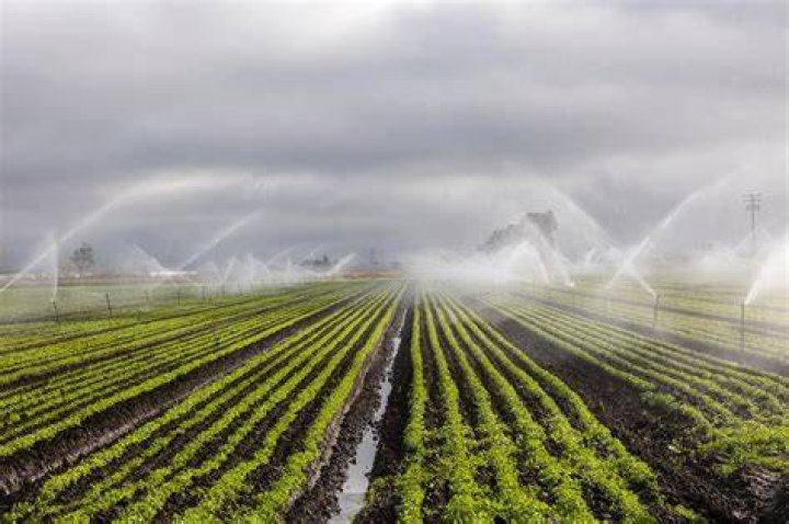 When something is irrigated?
